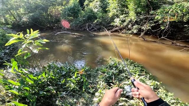 MOTOR ESTRAGOU, FICAMOS PRESOS COM ESSES ANIMAIS, TIVEMOS QUE REMAR A NOITE PRA CASA. смотреть онлайн