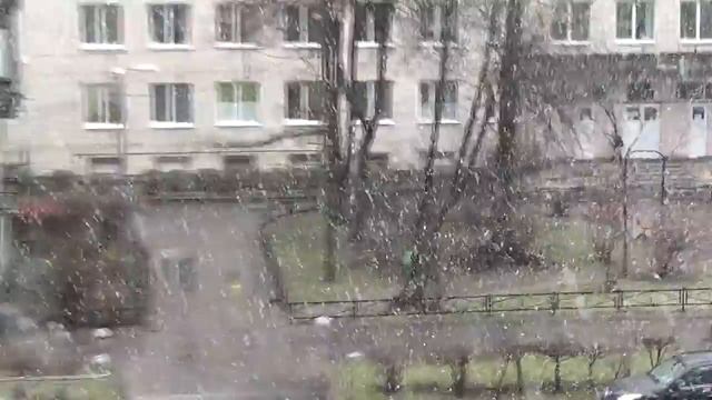 Вот и пришла весна... ( Ленинград, 14 апреля 2016) смотреть онлайн