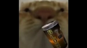 кот пьёт блокси коллу