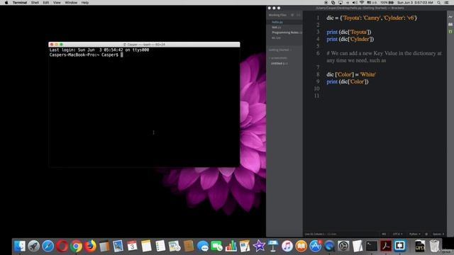 Tutorial #49: Adding New Key Value in Dictionary | Complete Python Course for Beginners to Experts смотреть онлайн