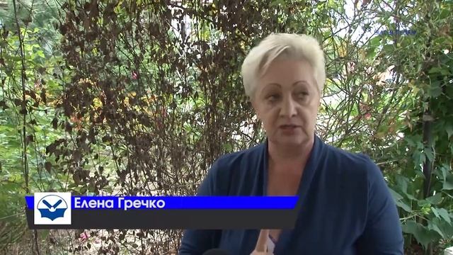 Подвалы многоквартирных домов по ул. М.Гречко затоплены, но решать проблему никто не торопится. смотреть онлайн