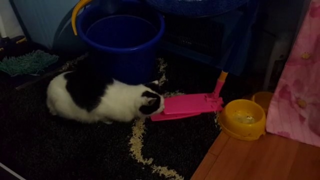 Маша смотреть онлайн