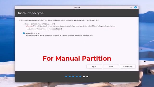 Linux Mint Installation via Manual Partition (Partition Type - 1) смотреть онлайн