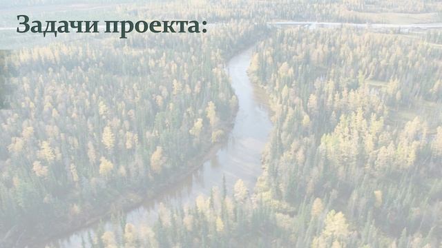 Проект «Югра в лицах» смотреть онлайн