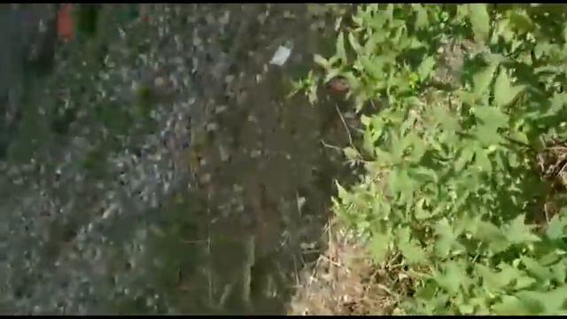 Романтические цветочные события