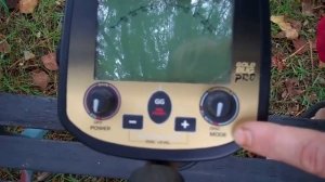 Fisher - Gold Bug DP 1