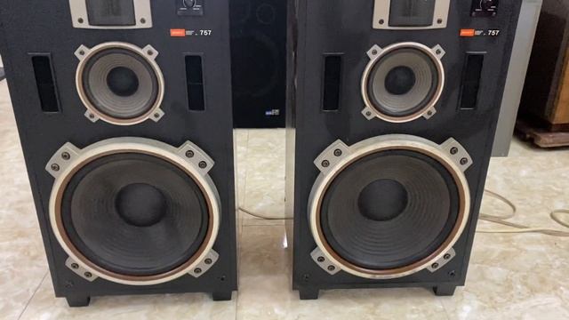 13/4. Loa Sony Ss-757 bass 40cm giá 12tr nghe phá làng phá xóm. Chi tiết lh 076.7986.555 смотреть онлайн