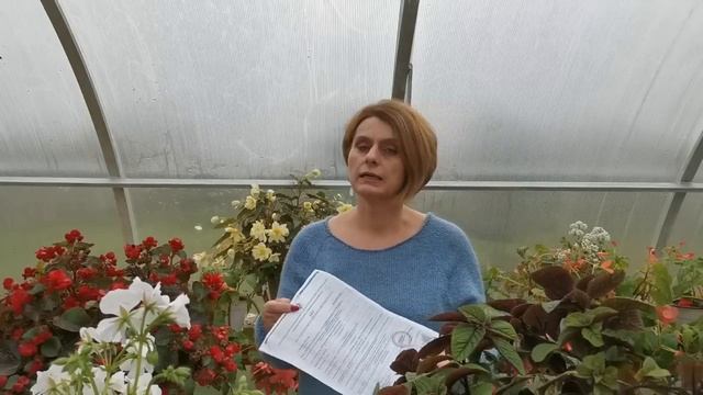 Еще семена цветов смотреть онлайн