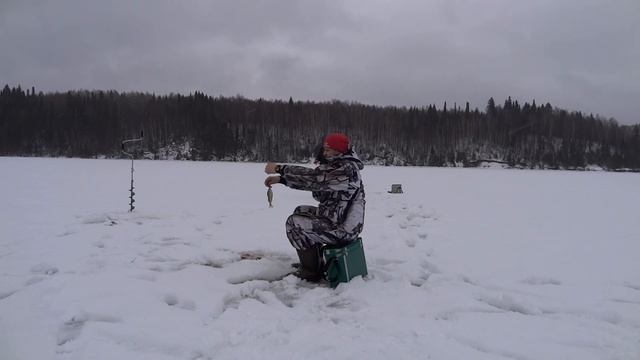 ЗИМНЯЯ РЫБАЛКА НА СЫЛВЕ/5 КГ ОКУНЕЙ/ ПОСЕЙДОН ЧТОЛЕ? смотреть онлайн