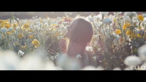 Токио - Я люблю тебя