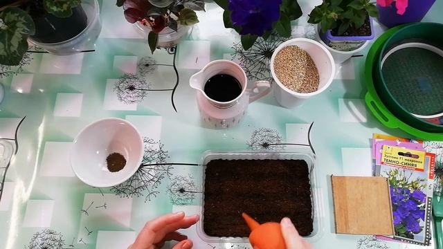 ЭУСТОМА ИЗ СВОИХ СЕМЯН, ЭКСПЕРИМЕНТ! смотреть онлайн