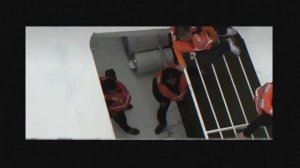 Джейн кравиц