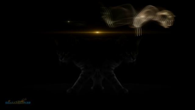 Willy William Ego (smallshket remix) смотреть онлайн