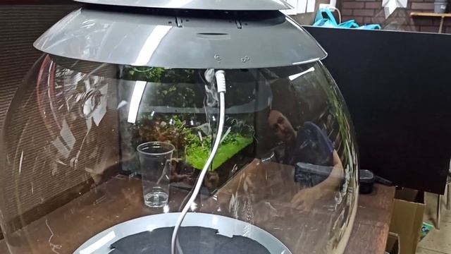 BiorbAir 60 обзор и оформление