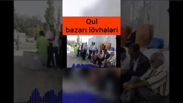 Qul bazari seir смотреть онлайн