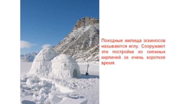 Арктика и Антарктида (детские обучалки) смотреть онлайн