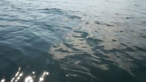 Рыбалка в Бурятии, Гусиное озеро