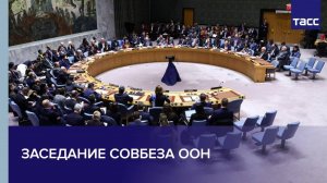 Заседание Совбеза ООН