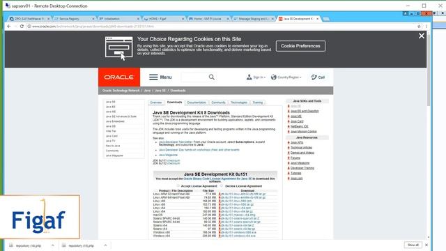 How to install Netweaver Developer Studio смотреть онлайн