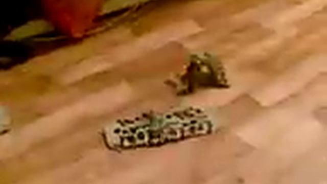 Носки смотреть онлайн