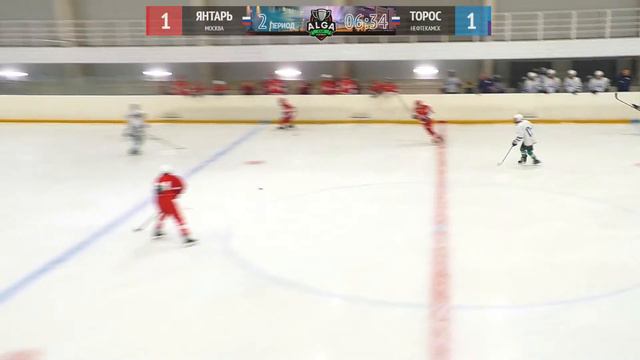 ХК Янтарь (Москва) - ХК Торос (Нефтекамск) смотреть онлайн