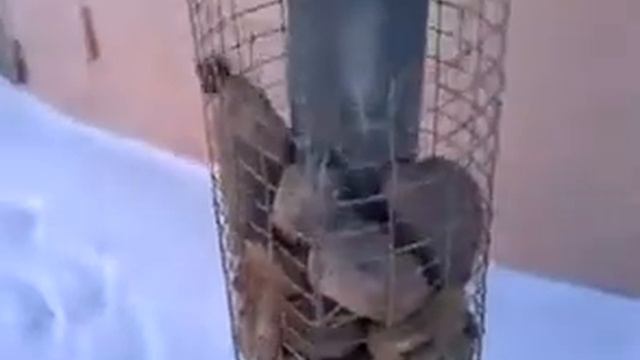 мобильная баня своими руками 1, печь смотреть онлайн