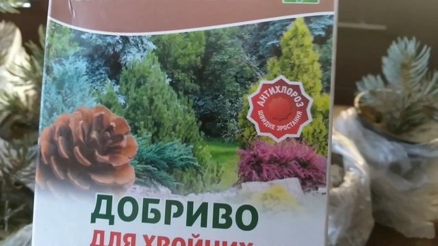 ЧЕМ ПОДКОРМИТЬ ЧЕРЕНКИ ГОЛУБОЙ ЕЛИ?|ПОДКОРМКА ХВОЙНЫХ смотреть онлайн