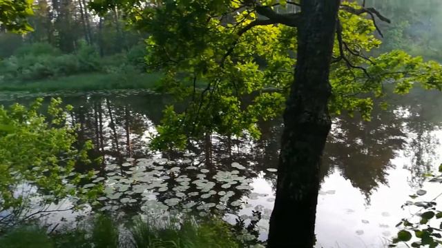 Это не рыбалка просто, поснимать и показать красоты лесных озёр. смотреть онлайн