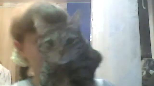 Вопрос-ответ обожаю кашу:-) смотреть онлайн