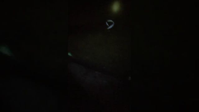 Mancing Belut 500 gram смотреть онлайн