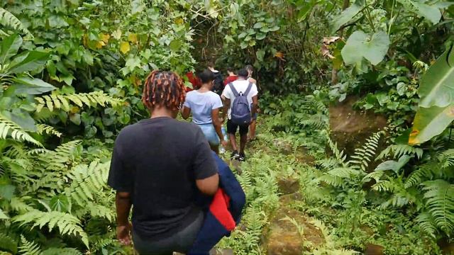 HIKE TO BOERI LAKE (VLOG) | CIRCARTIVE IN DOMINICA смотреть онлайн