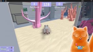 СИМУЛЯТОР ПИТОМЦЕВ в РОБЛОКС ROBLOX PET ESCAPE совершаем побег КОТ ДЖЕМ играет