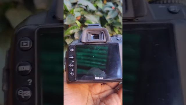Nikon dslr camera lover status video смотреть онлайн