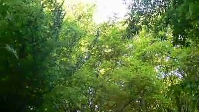 Наше место для шашлыков смотреть онлайн