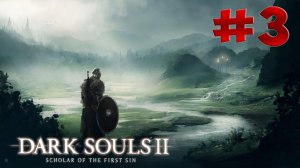 Dark Souls 2 SotFS - Полный Гайд. Прохождение, Секреты и ЛОР. Часть 3. Лес Падших Гигантов