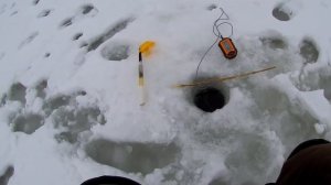 ЛОВЛЯ КРУПНОЙ ПЛОТВЫ НА БЕЗМОТЫЛКУ. Зимой 2022Безмотылка Харьковfamily fishing