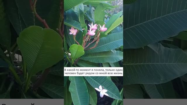 Любовь к себе не исключает любовь к другим