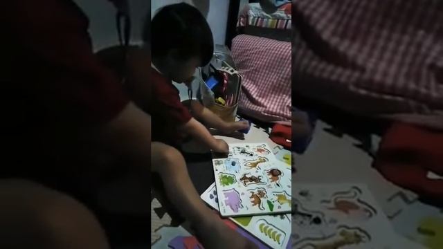 Animal Wooden Puzzle Playtime смотреть онлайн