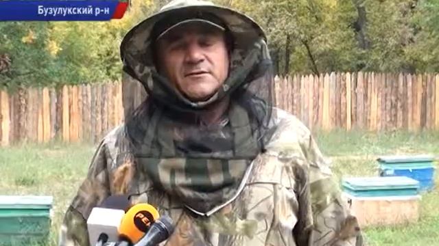 Туризм по меду смотреть онлайн
