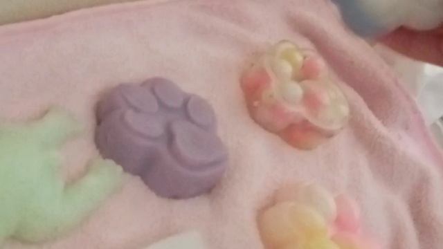 Лапки и собачки в 🚂🚋🚃!? мини вложик!? едим домой!!!🥳 #сквиши