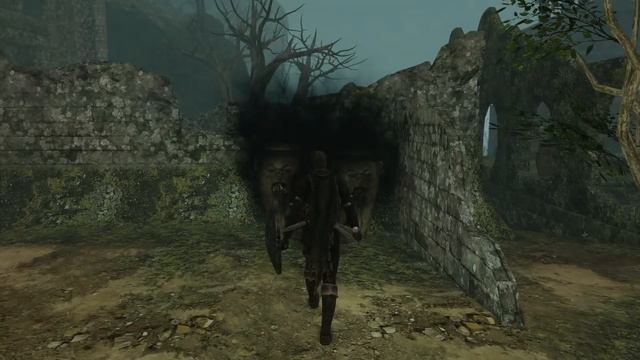 Dark Souls 2 (DLC Parte 2): Hollow Skin - Imunidade à Maldição! смотреть онлайн