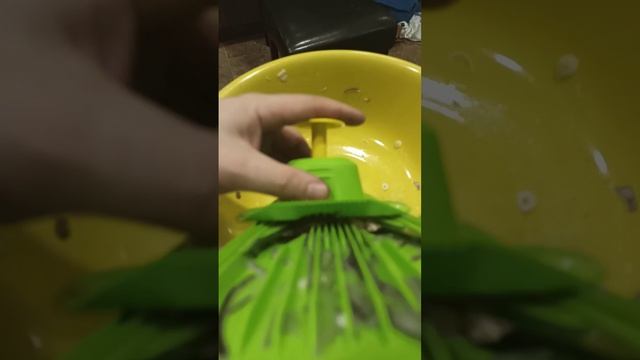 Маринованный лук