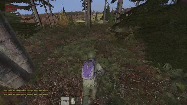 DayZ Standalone | Танцы с волками, вечер 1-й (перезалив) смотреть онлайн