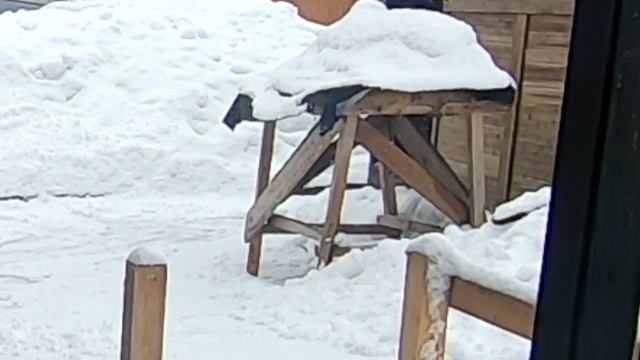 Строительный пылесос из хлама.Круто для гаража. смотреть онлайн