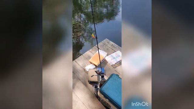 рыбалка на Белой даче перешла в бардак, вечерний выход был погашен колонками мангальщиков смотреть онлайн