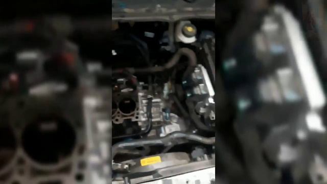 ХАММА КУРИШ ШАРТ...БУ ВИДЕОНИ КУРИБ ТАРКАТИНГ смотреть онлайн