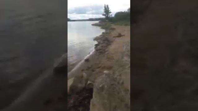 Рыбалка и отдых с детьми. смотреть онлайн