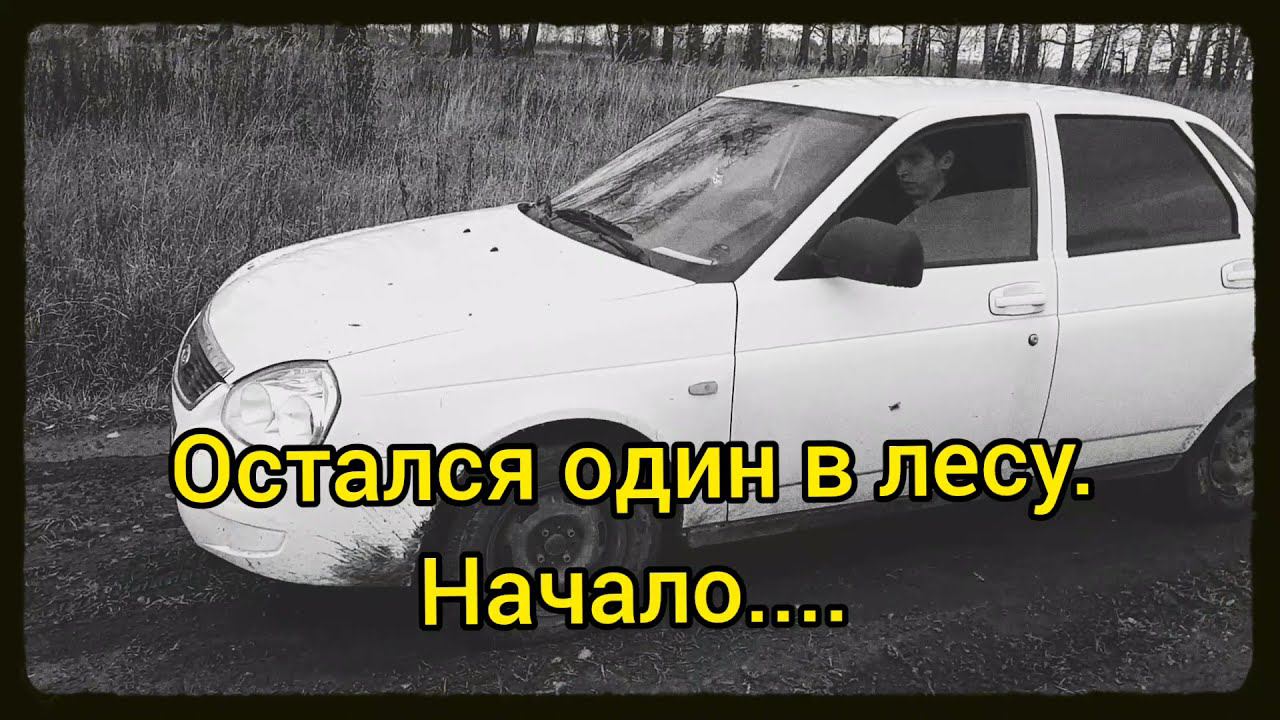 Бросили в лесу на произвол судьбы смотреть онлайн