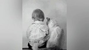 Трогательный стих "Милосердие" Автор - Ольга Май