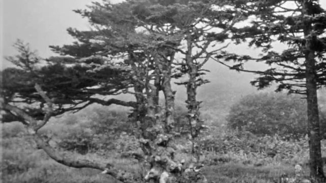 Курильские острова, 1980. смотреть онлайн